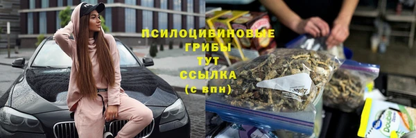винт Куйбышев
